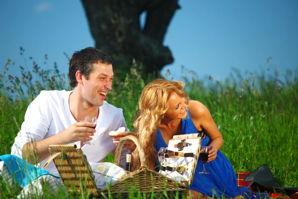 Los amantes en el picnic —  Fotos de Stock