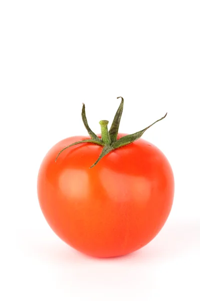 Eine Tomate — Stockfoto
