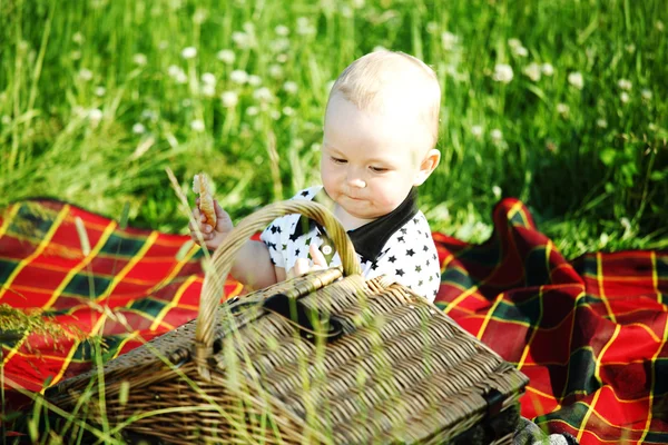 Pojke på picknick — Stockfoto
