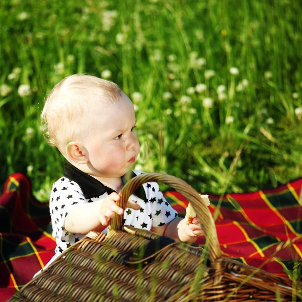 Fiú piknik — Stock Fotó