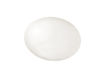 Isolated egg clipart