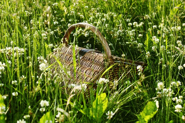 stock image Picnic basket