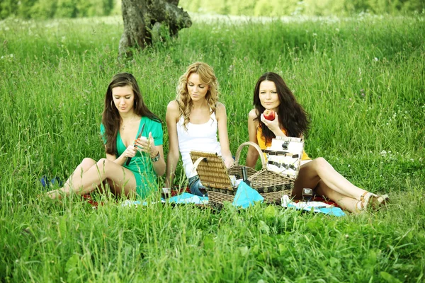 Flickvänner på picknick — Stockfoto
