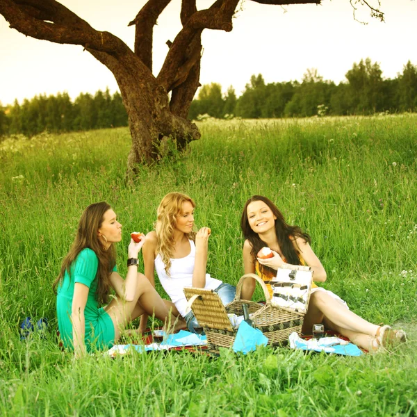 Novias en el picnic — Foto de Stock