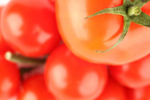 Fundo de tomate — Fotografia de Stock