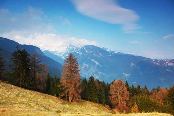 春天的阿尔卑斯山 — 图库照片