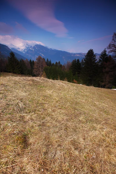 Våren Alperna — Stockfoto