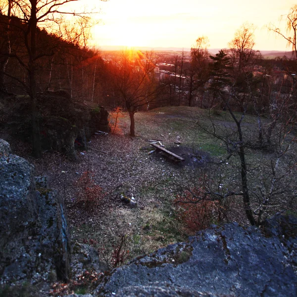 Frühlingswald-Sonnenaufgang — Stockfoto