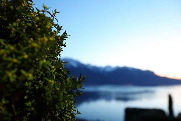 Lago de Genebra — Fotografia de Stock