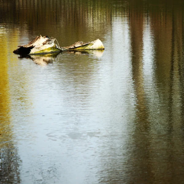 Logboeken in water — Stockfoto