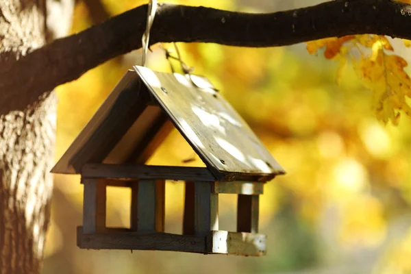 Birdhouse dans la forêt d'automne — Photo