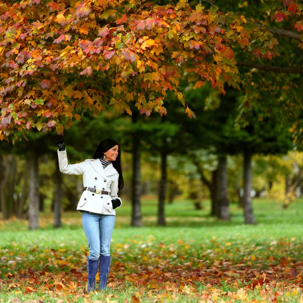 Autumn woman Royalty Free Stock Images