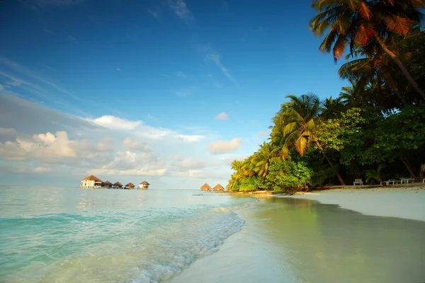 Paysage des Maldives — Photo