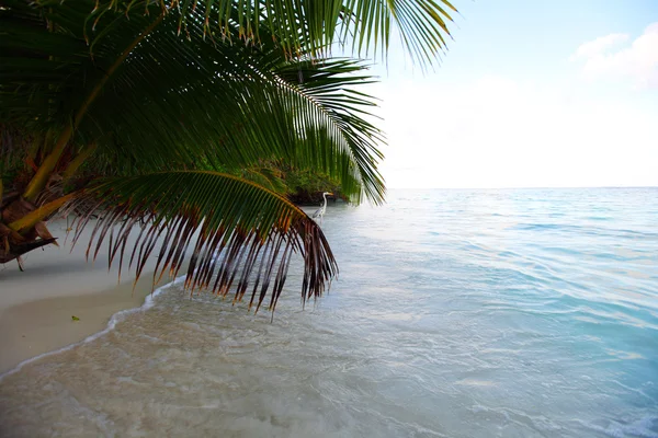 Ilha tropical — Fotografia de Stock