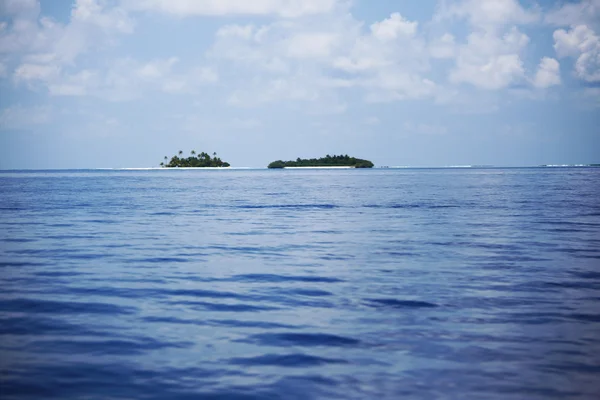Tropisk ø - Stock-foto