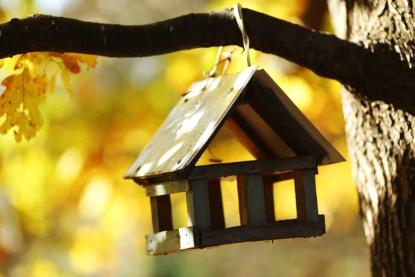 Birdhouse w lesie jesienią — Zdjęcie stockowe