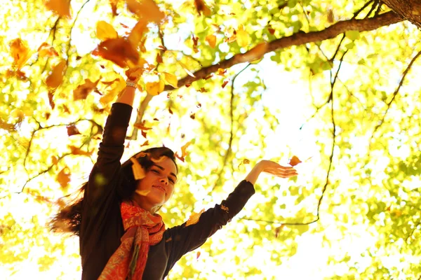 가 공원에서 여자 드롭 나뭇잎 — 스톡 사진