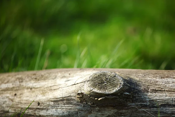 Holz im Gras — Stockfoto