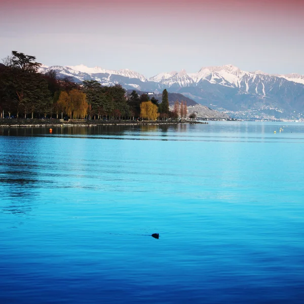 Genèvesjön — Stockfoto