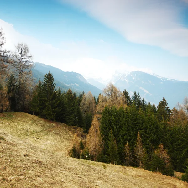 Våren Alperna — Stockfoto