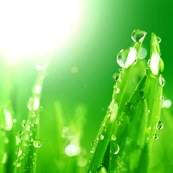 빛나는 물방울 — 스톡 사진