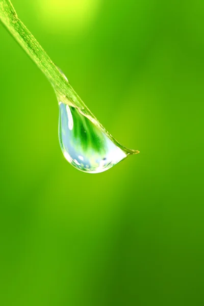 Big water drop — Stock Photo, Image
