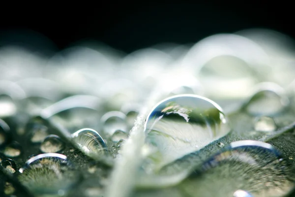 Gota de agua macro — Foto de Stock
