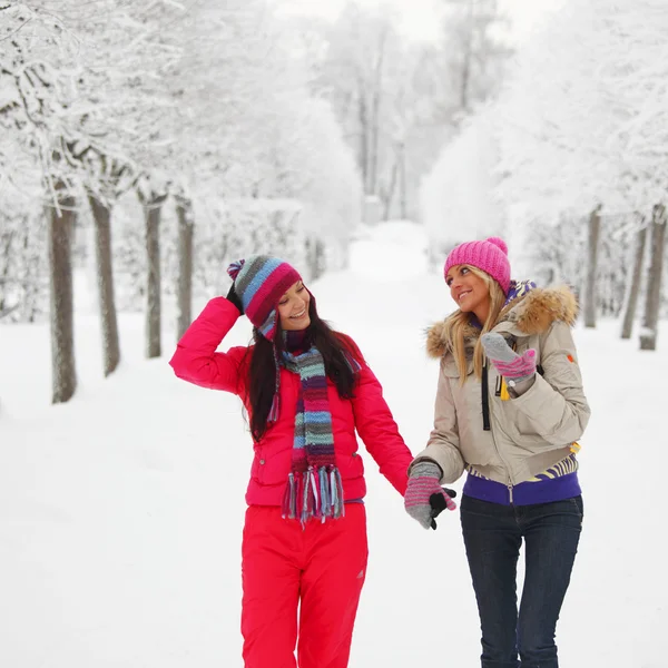 겨울 산책 — 스톡 사진