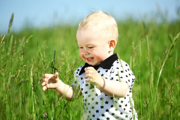 草の中の少年 — ストック写真