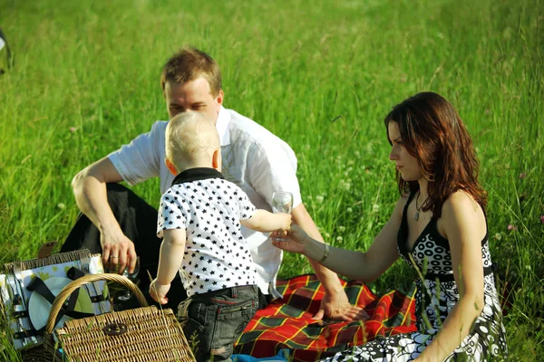 Сімейний пікнік — стокове фото