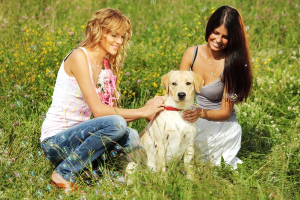 여자 친구와 개 — 스톡 사진
