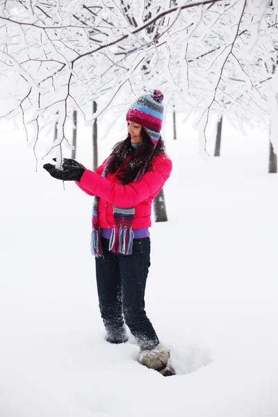 Winter vrouwen — Stockfoto