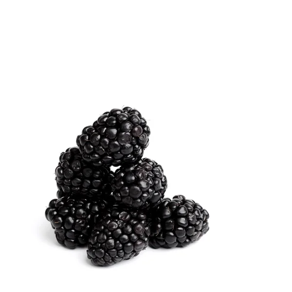 黑莓桩 — 图库照片