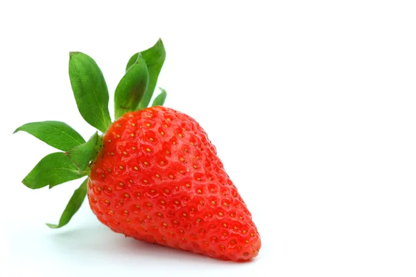 1 딸기 — 스톡 사진