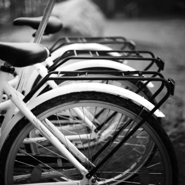 Bisikletler — Stok fotoğraf