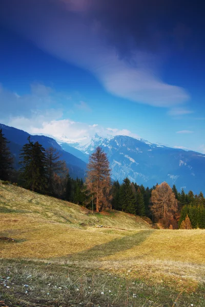 Alpes de primavera — Foto de Stock