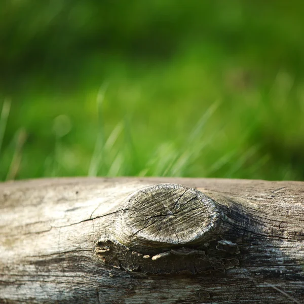 Špalky dřeva na trávě — Stock fotografie
