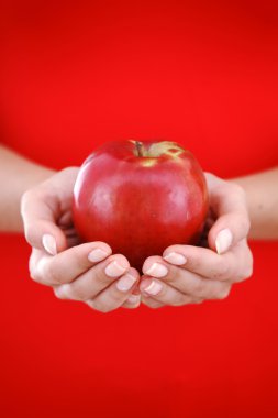 Apple in woman hands clipart