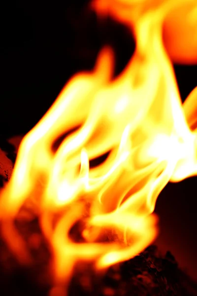 Tűz láng közelről — Stock Fotó