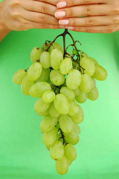 Grape in woman hands — Stock Photo, Image