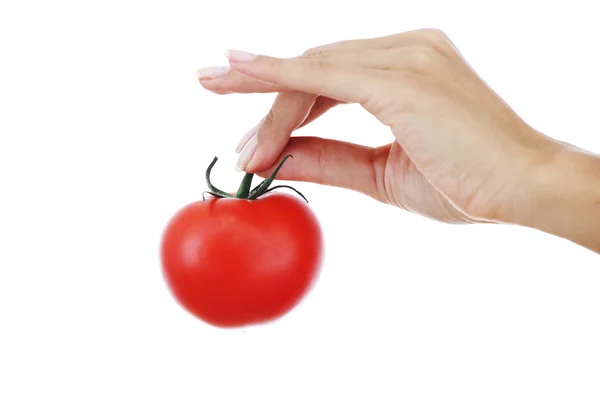 stock image Tomato in woman hands