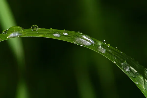 stock image Natural waterdrop