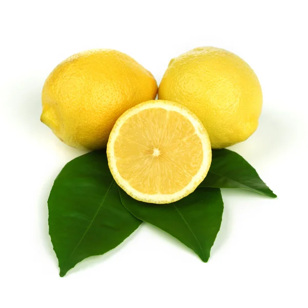 Citrons sur blanc — Photo