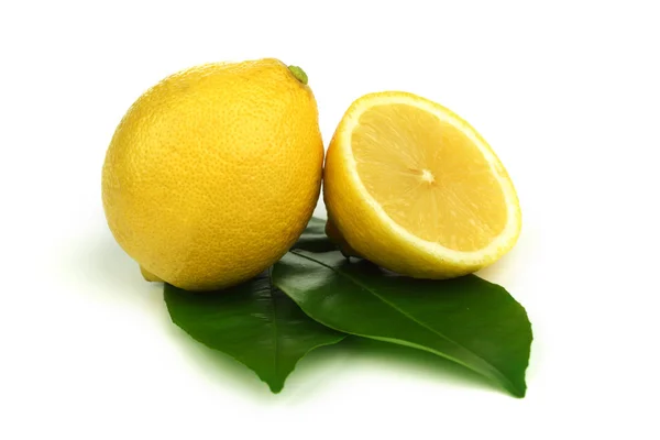 Cytryn na biały — Zdjęcie stockowe