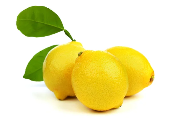 Citroner på vit — Stockfoto