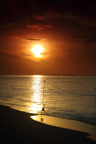 Захід сонця на морі — стокове фото