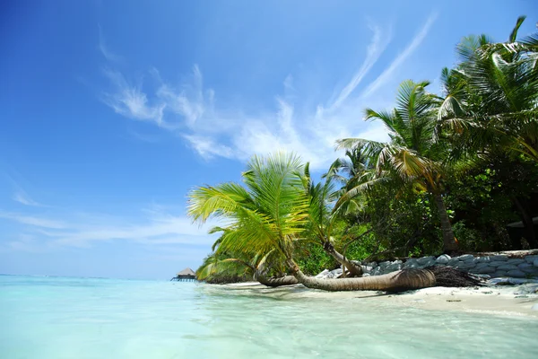 Ilha tropical — Fotografia de Stock