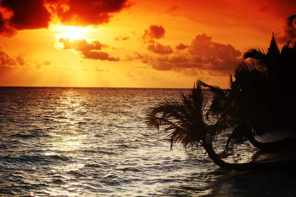 Захід сонця на морі — стокове фото