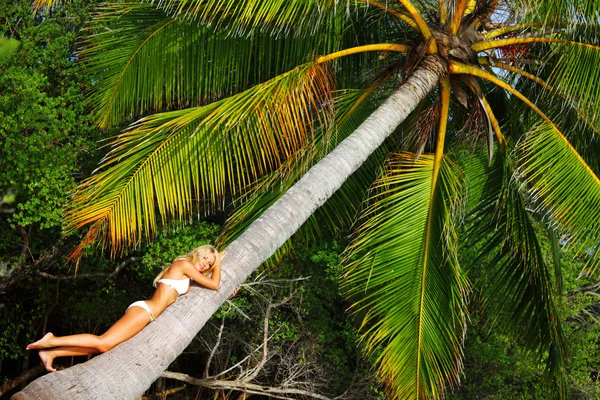 Kvinna på palm — Stockfoto