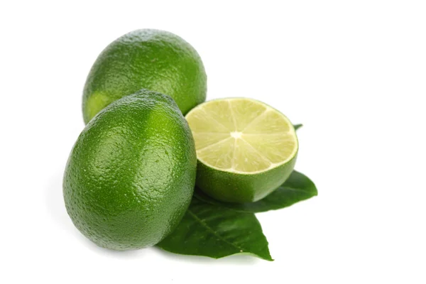 Limes on white Royalty Free Stock Images